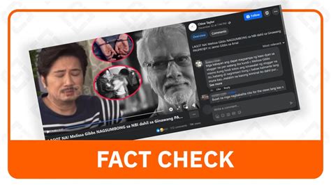 janno gibbs scandal|FACT CHECK: Janno Gibbs not involved in death of father.